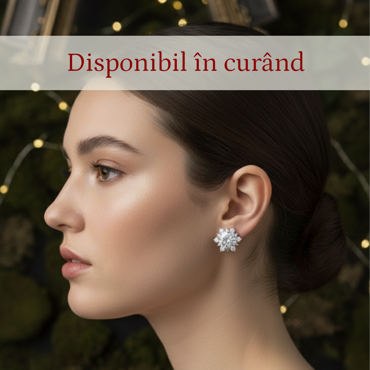 Cercei Fulg de Nea S925